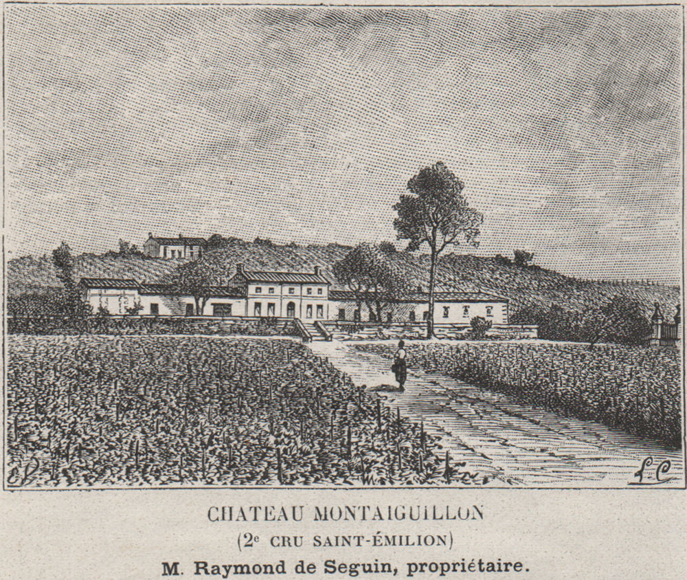 MONTAGNE. Chateau Montaiguillon (2e Cru Saint-Émilion). Bordeaux. SMALL 1908